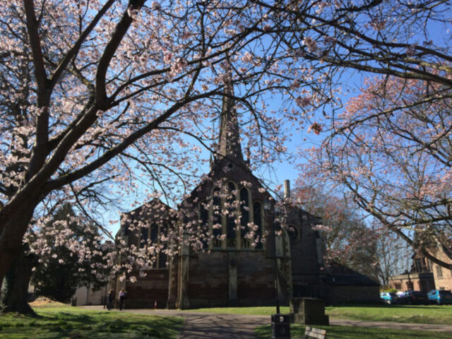 St Marys priory church, Monmouth (with trees in blossom) -venue for concert